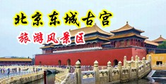 抽插18禁中国北京-东城古宫旅游风景区